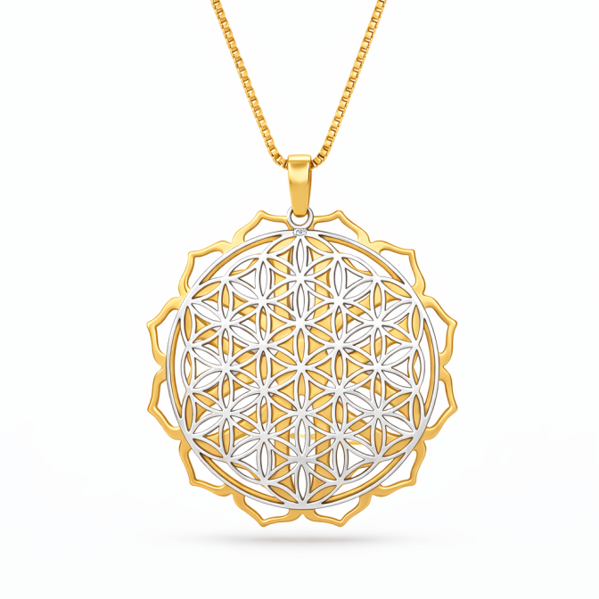 Gargantilla Mandala Plata...