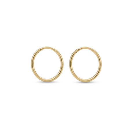AROS ORO 18 KILATES 1X12mm