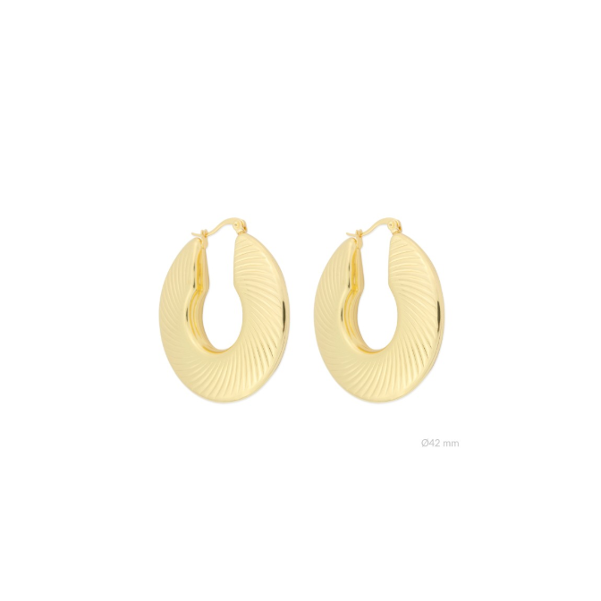 Argollas de Acero...